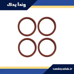 واشر مینیفولد هوا پژو 206