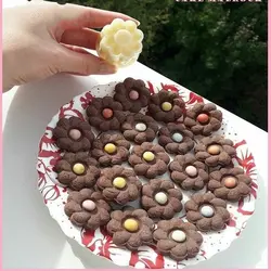 کاتر فشاری شیرینی مربایی بیضی