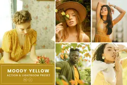 پریست لایت روم و اکشن فتوشاپ تم زرد Moody Yellow • مخزن ودره