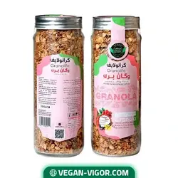گرانولا وگان بری 380گرمی