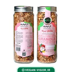 گرانولا وگان بری 380گرمی