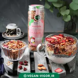 گرانولا وگان بری 380گرمی