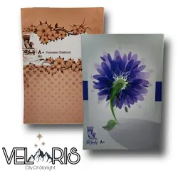 خرید دفتر خط دار دانشگاهی ۱۰۰ برگ | فروشگاه فانتزی ولاریس