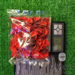 گل خشک بسته بندی