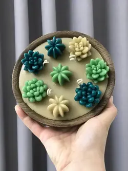 شات کاکتوس طرح چوب