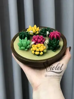 شات کاکتوس طرح چوب