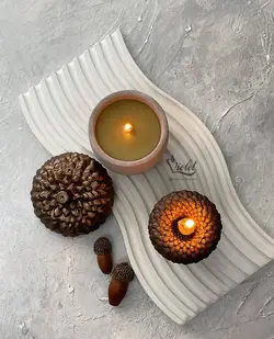 شمع بلوط به همراه شات طرح بلوط