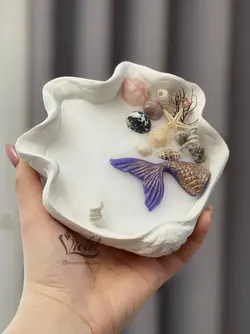 صدف دریایی سایز بزرگ