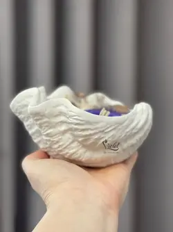 صدف دریایی سایز بزرگ