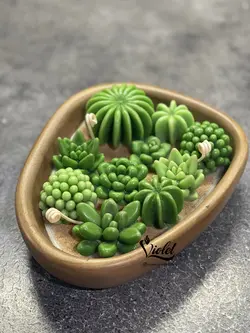 باغچه کاکتوس دفرمه