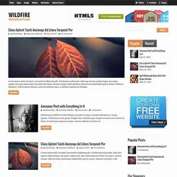 قالب ودپرس وایلد فایر | MyThemeShop Wildfire