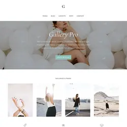 قالب وردپرس گالری استدیو پرس | StudioPress Gallery