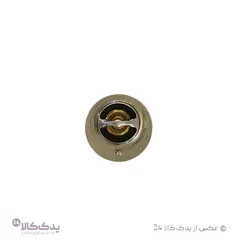 ترموستات اس دبلیو ام SWM