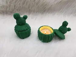 جاشمعی و جاجواهری کاکتوسجاجواهری کاکتوس