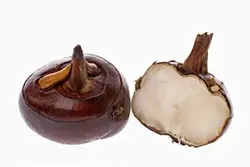 کنسرو شاه بلوط Water chestnut