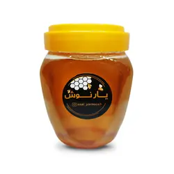 عسل بی نظیرگون گز پیرانشهر
