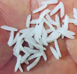 طارم کشت دوم اعیانی و سفارشی یارتا