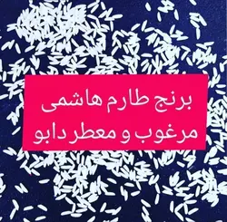 طارم هاشمی پنج ستاره فریدونکنار