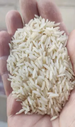 برنج دودی هیزمی یارتا