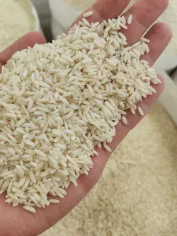 برنج علی کاظمی فوق ممتاز۱۰k