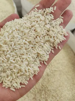 علی کاظمی فوق ممتاز ۵۰kg