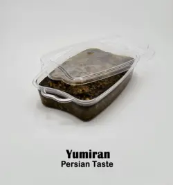 خورشت قورمه سبزی