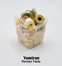 پک 10 عددی سالاد ماکارونی
