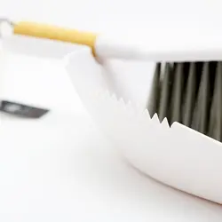 فرچه و خاک انداز