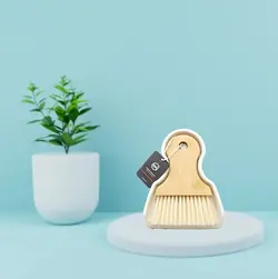 مینی فرچه و خاک انداز