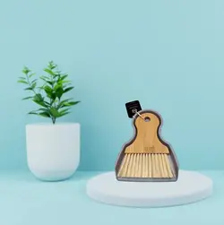 مینی فرچه و خاک انداز