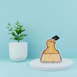 مینی فرچه و خاک انداز