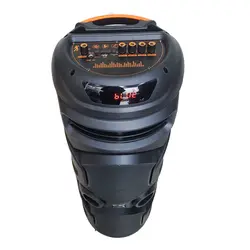 اسپیکر پارتی باکس قابل حمل رویال ساند مدل RS-D40