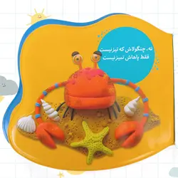 کتاب حمامی چه چنگی داره خرچنگ