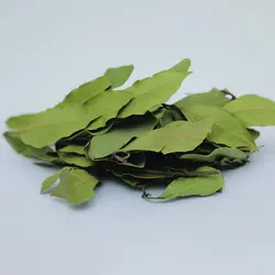 برگ بو زرین گیاه کد 1010058