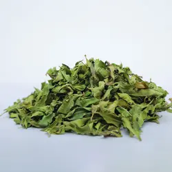 گیاه به لیمو زرین گیاه کد 1010001