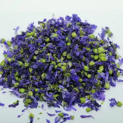 گیاه پنیرک زرین گیاه کد 1010006