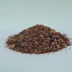 گیاه جفت بلوط زرین گیاه کد 1010138