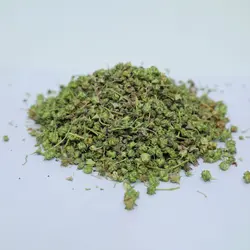 گیاه خارخاسک زرین گیاه کد 1010091