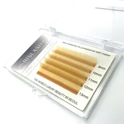 مینی پالت رنگی مژه بیسلش_زرد(Gold Brown /c0.7×9-13mix)