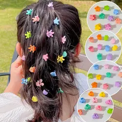گیره ریز رنگی 10 عددی G19