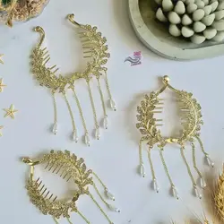 گیره گوجه ای خوشه گندم G15