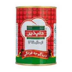 رب ۴۰۰گرم دلپذیر