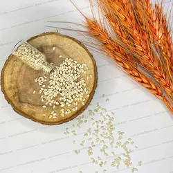 شیشه 3 میل ویال 599 عدد