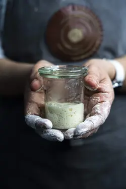 مایه خمیر ترش