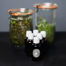 روغن پونه کوهی