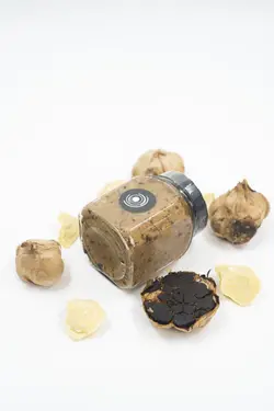 پنیرسیرسیاه پروبیوتیک وگان با پایه بادام هندی(غیر لبنی)