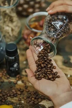 شات سم زدای زغال فعال