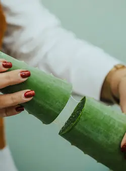 شات سم زدای زغال فعال