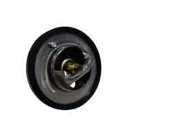 ترموستات جیلی امگرند EC7,RV7 و X7 (شاسی),الیت,اکسلنت