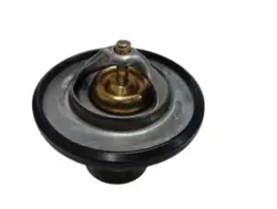 ترموستات گریت وال ولکس C30